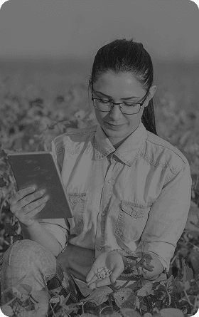 MBA em Agronegócios